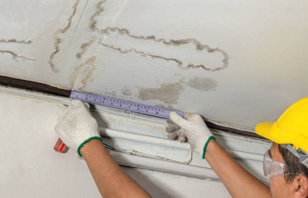 Reliable Mold Remediation contractor in Concho, OK by Water Damage Irwin